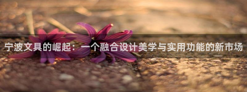 卧龙娱乐怎么不能注册：宁波文具的崛起：一