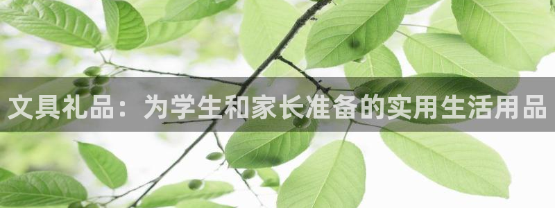 卧龙娱乐382223：文具礼品：为学生和