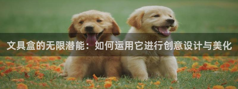 fans娱乐卧龙凤雏：文具盒的无限潜能：