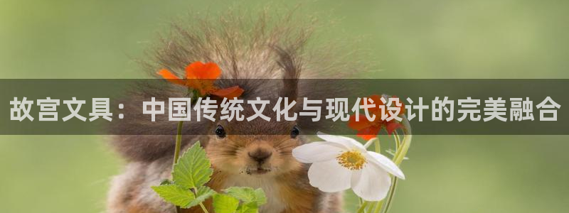 卧龙娱乐怎么注册：故宫文具：中国传统文化