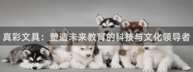 卧龙谷娱乐：真彩文具：塑造未来教育的科技