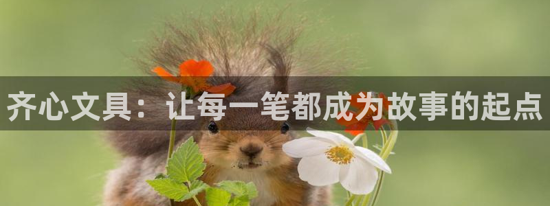 泰安卧龙大观娱乐中心：齐心文具：让每一笔