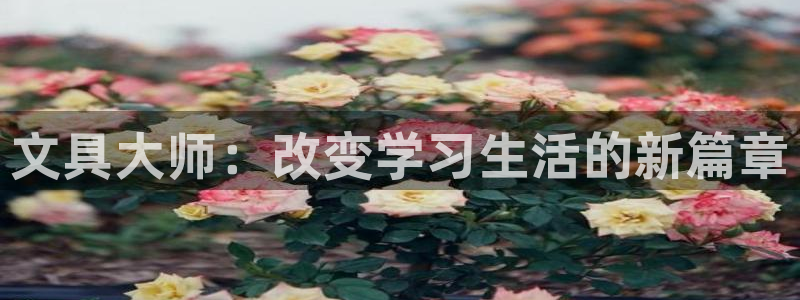 卧龙沟娱乐场：文具大师：改变学习生活的新