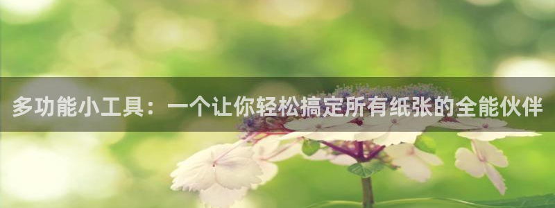 厦门卧龙台球娱乐会所：多功能小工具：一个