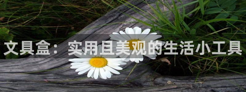 卧龙娱乐测速：文具盒：实用且美观的生活小
