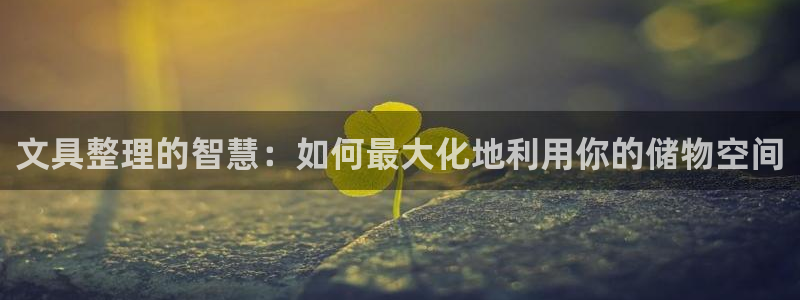 卧龙娱乐老板叫什么名子：文具整理的智慧：