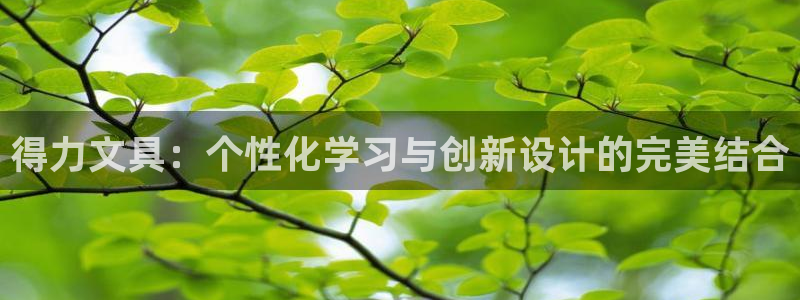 卧龙娱乐老板是谁呀视频：得力文具：个性化