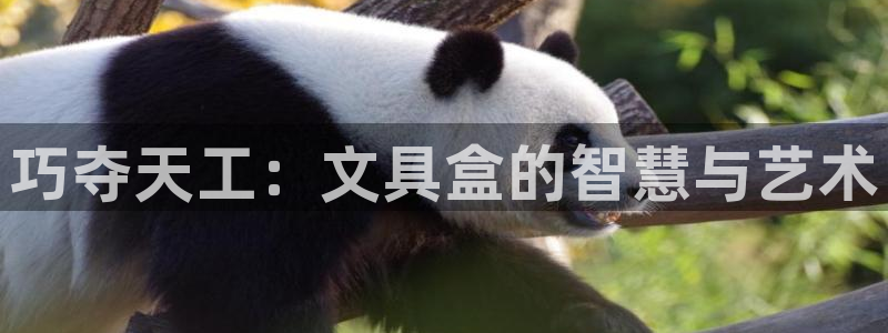 卧龙娱乐桐333OO：巧夺天工：文具盒的