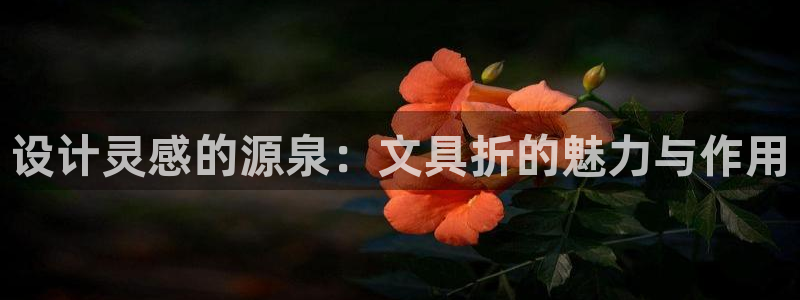 卧龙娱乐怎样：设计灵感的源泉：文具折的魅