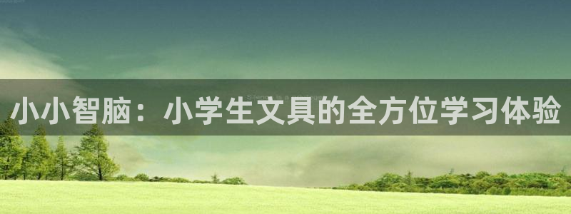 娱乐卧龙：小小智脑：小学生文具的全方位学