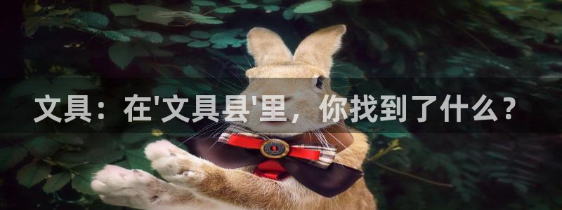 卧龙娱乐彩票：文具：在\'文具县\'里，
