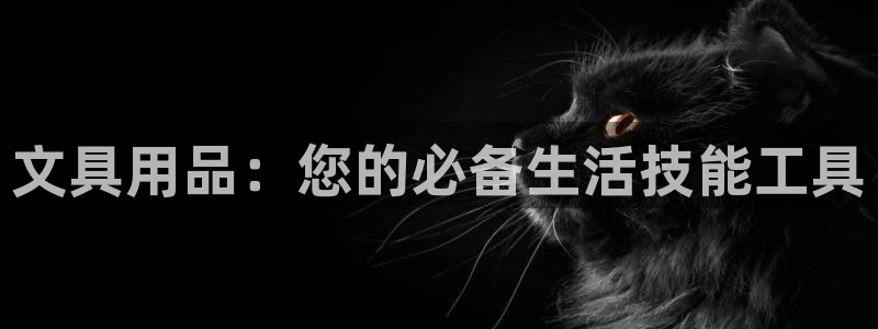 HR娱乐卧龙主管60447：文具用品：您