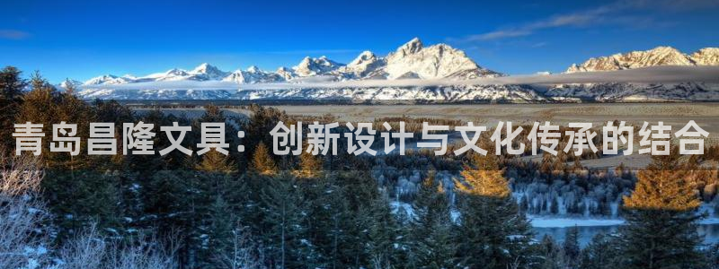 卧龙区凤凰娱乐：青岛昌隆文具：创新设计与