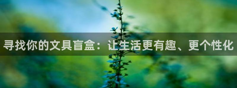 卧龙镇休闲娱乐