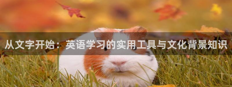 卧龙娱乐招商主管薪资