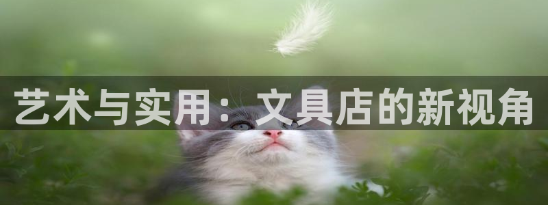 卧龙台球娱乐：艺术与实用：文具店的新视角