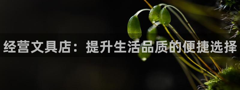 卧龙娱乐网址多少：经营文具店：提升生活品