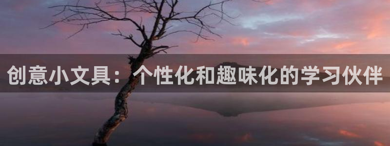 卧龙娱乐气垫项目投资：创意小文具：个性化