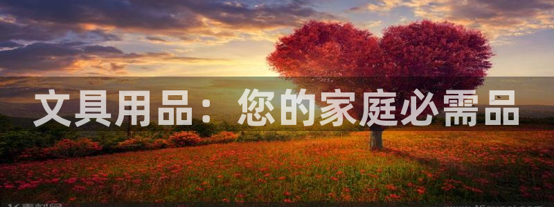 卧龙娱乐有限公司：文具用品：您的家庭必需