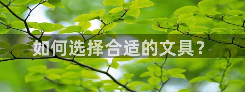 卧龙水上娱乐：如何选择合适的文具？