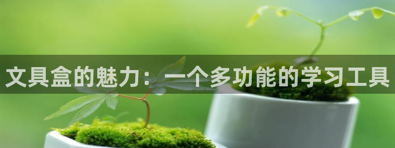 卧龙沟娱乐场：文具盒的魅力：一个多功能的