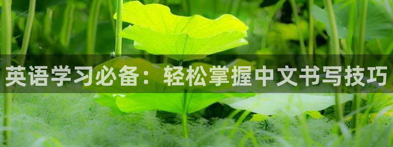 卧龙儿童娱乐设施：英语学习必备：轻松掌握