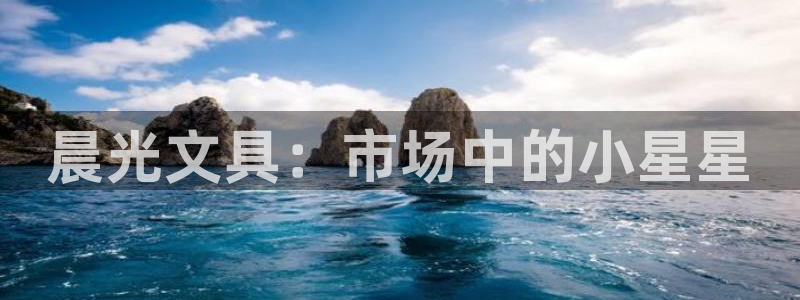 卧龙凤雏娱乐夫妻：晨光文具：市场中的小星