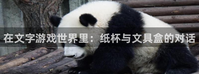 卧龙娱乐是什么：在文字游戏世界里：纸杯与