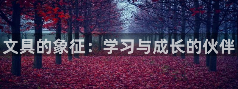 南阳卧龙娱乐会所：文具的象征：学习与成长