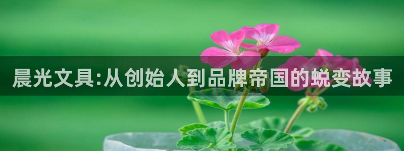 卧龙娱乐3月10日开