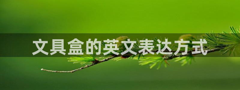 卧龙娱乐322901：文具盒的英文表达方