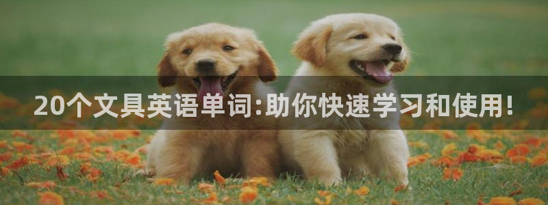 卧龙区夜晚娱乐：20个文具英语单词:助你