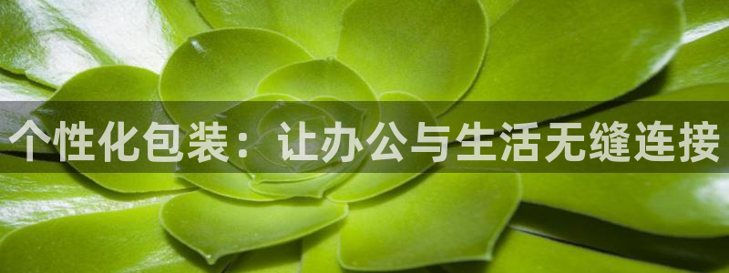 广丰卧龙城娱乐：个性化包装：让办公与生活