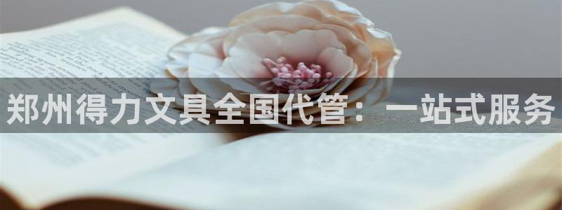 南阳卧龙娱乐城：郑州得力文具全国代管：一