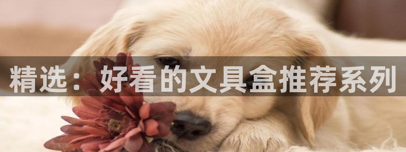 卧龙新款娱乐设备：精选：好看的文具盒推荐