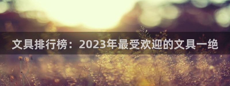 卧龙沙滩蹦床娱乐：文具排行榜：2023年