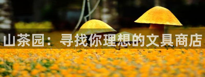 卧龙冲气娱乐设备：山茶园：寻找你理想的文