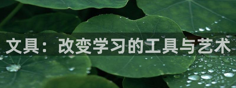 卧龙娱乐平台登录入口：文具：改变学习的工