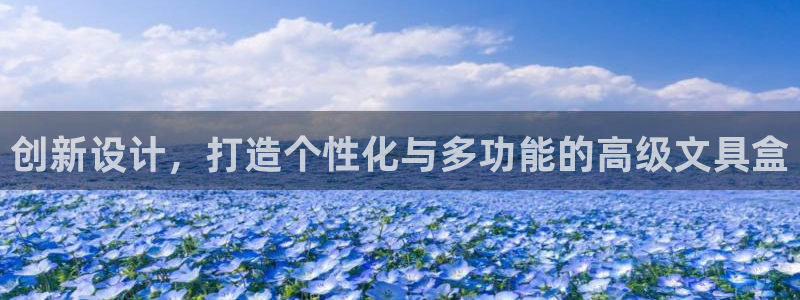 卧龙娱乐平台靠谱吗：创新设计，打造个性化