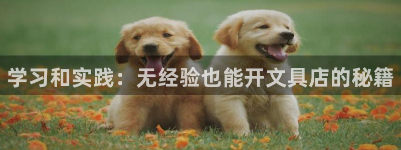 卧龙区微微娱乐商城：学习和实践：无经验也