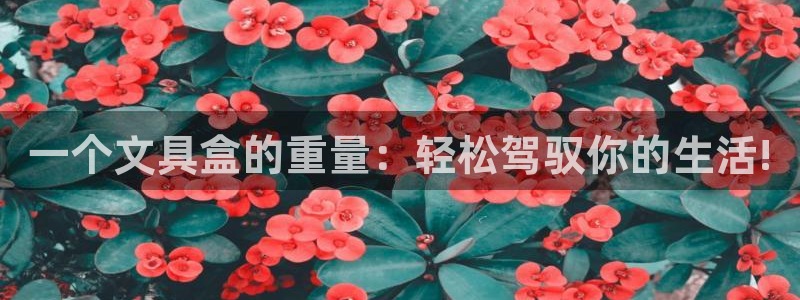 卧龙娱乐老板是谁呀图片：一个文具盒的重量