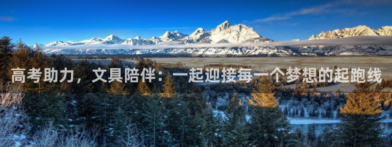 卧龙娱乐气垫项目投资：高考助力，文具陪伴