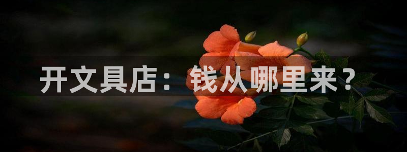 卧龙娱乐招商代理是谁：开文具店：钱从哪里