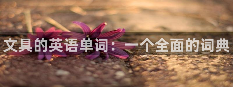 卧龙娱乐计划：文具的英语单词：一个全面的