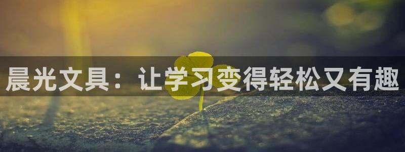 卧龙娱乐气垫项目投资：晨光文具：让学习变