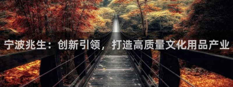 卧龙凤雏娱乐解说：宁波兆生：创新引领，打