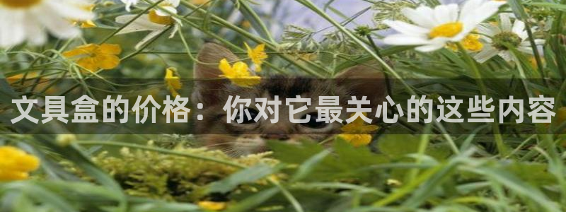 卧龙娱乐怎么样：文具盒的价格：你对它最关