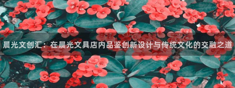 卧龙牧原娱乐设施：晨光文创汇：在晨光文具