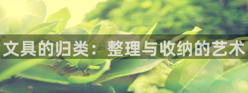 卧龙娱乐老板是谁：文具的归类：整理与收纳