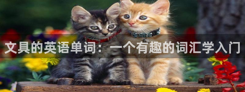 卧龙说娱乐：文具的英语单词：一个有趣的词